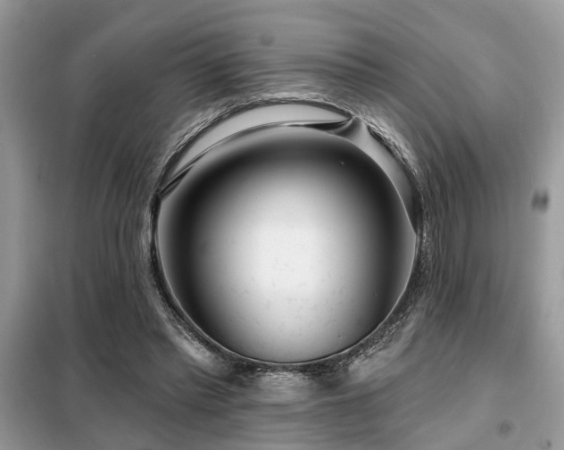 X0000099420397200805091248