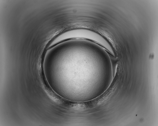 X0000099420398200805091248