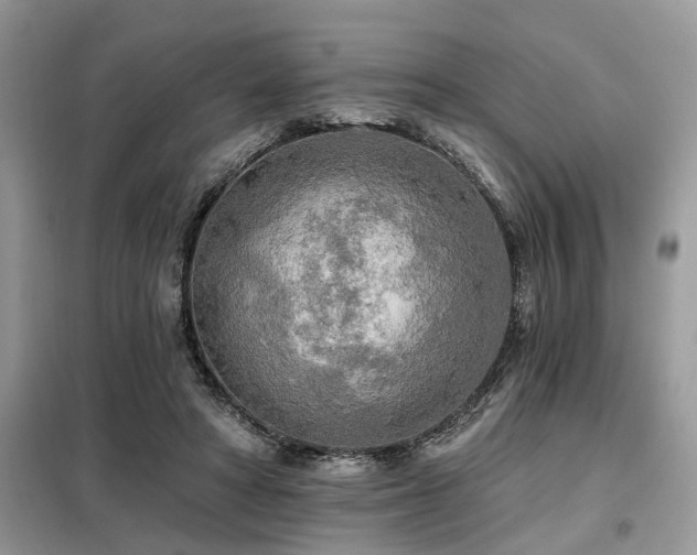 X0000099420402200805091248
