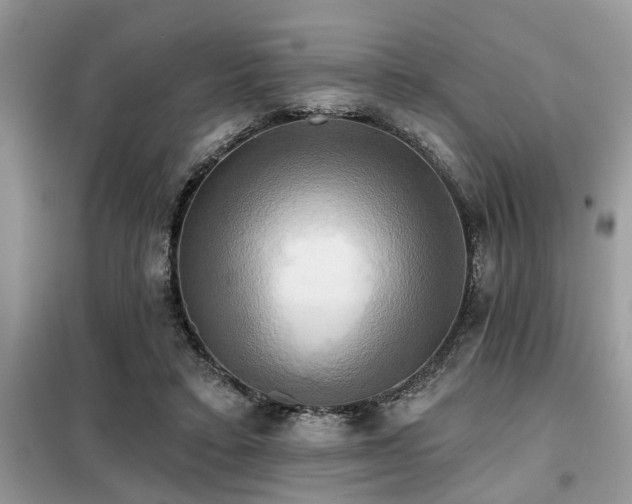 X0000099420403200805091248