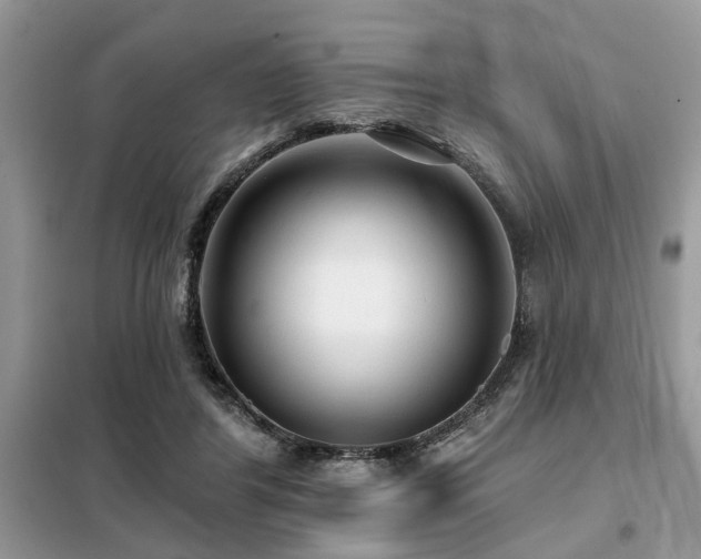 X0000099420404200805091248