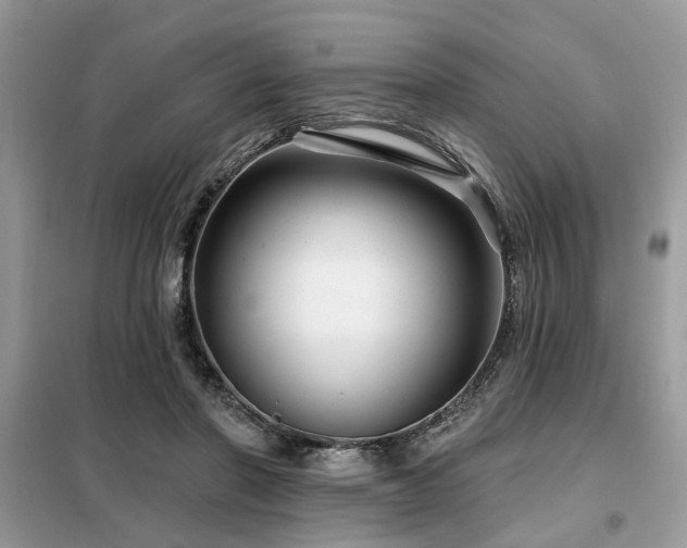 X0000099420406200805091248