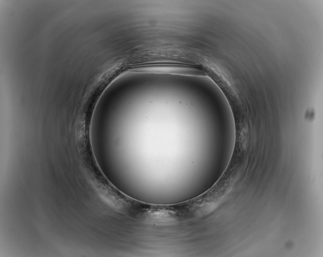 X0000099420407200805091248