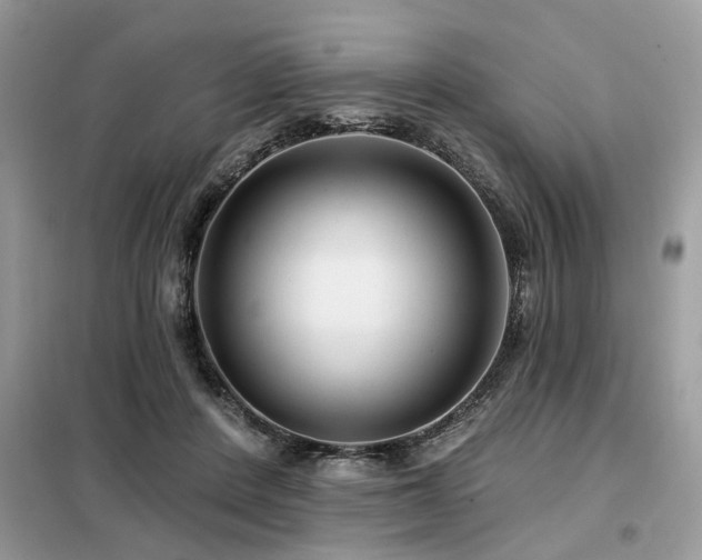 X0000099420408200805091248