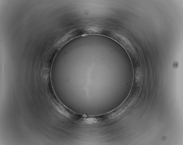X0000099420409200805091248