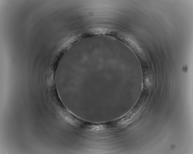 X0000099420411200805091248