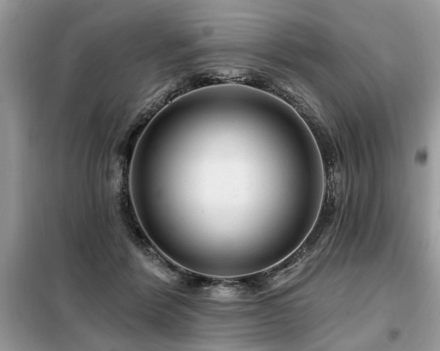 X0000099420412200805091248