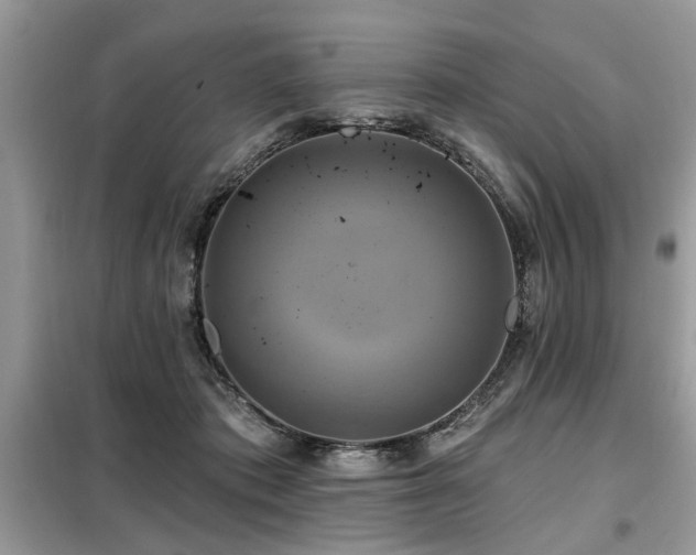 X0000099420413200805091248