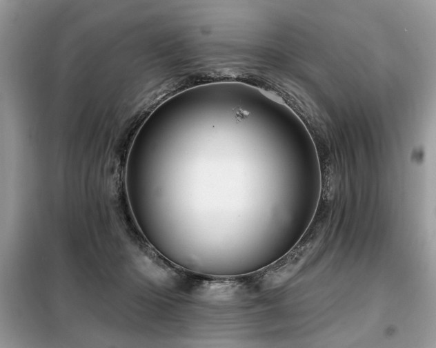 X0000099420414200805091248