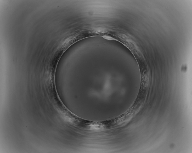 X0000099420415200805091248