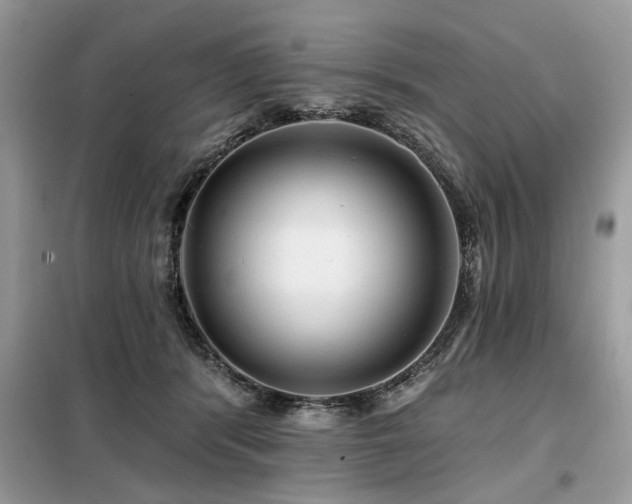 X0000099420416200805091248