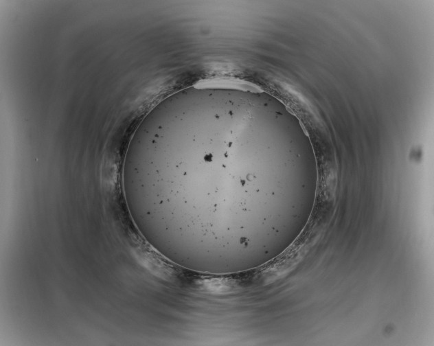 X0000099420417200805091248