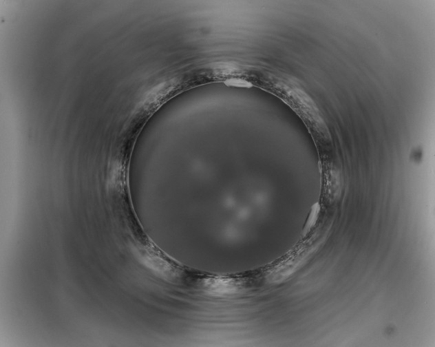 X0000099420419200805091248