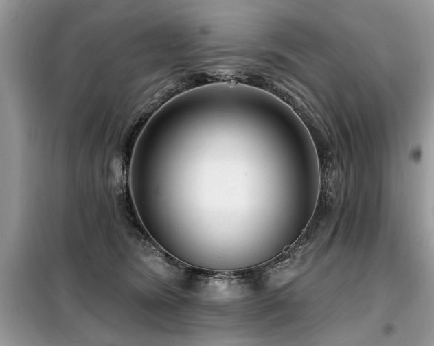 X0000099420420200805091248