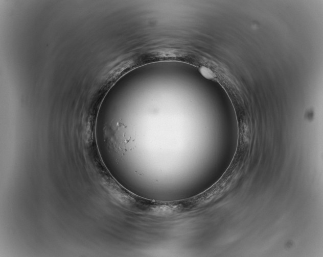 X0000099420422200805091248