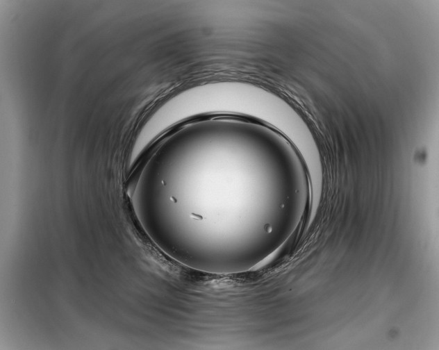 X0000099420423200805091248