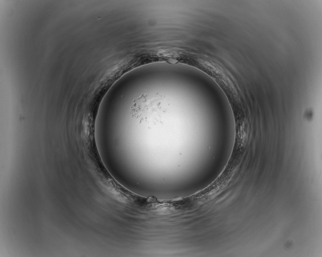 X0000099420424200805091247
