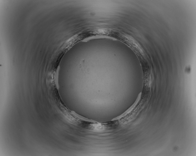 X0000099420425200805091247