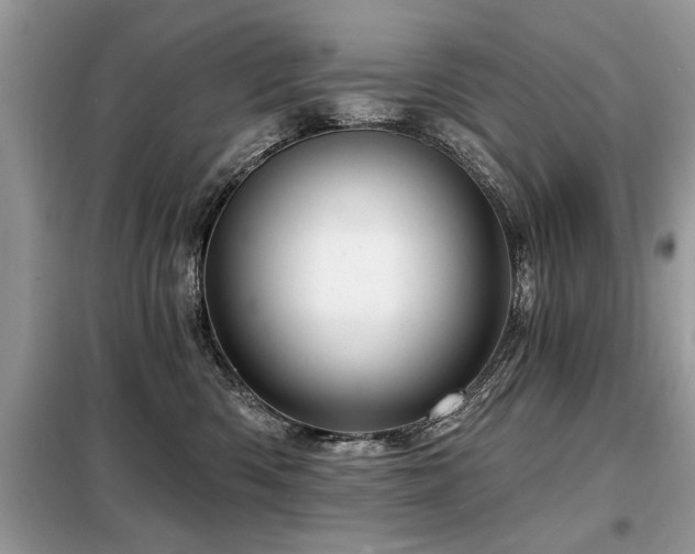 X0000099420426200805091247