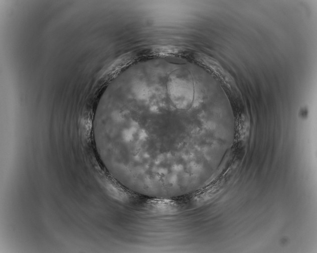 X0000099420427200805091247