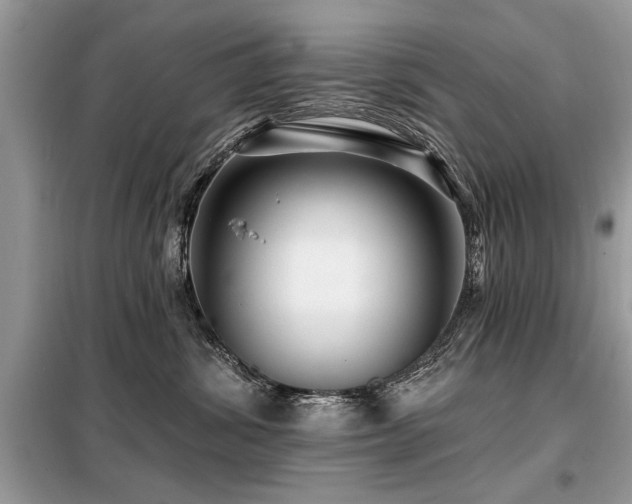 X0000099420428200805091247