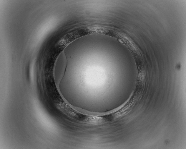 X0000099420429200805091247