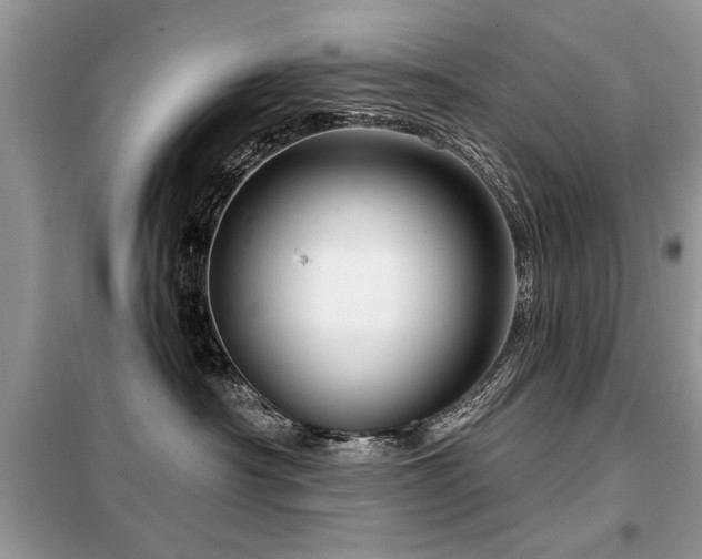 X0000099420430200805091247