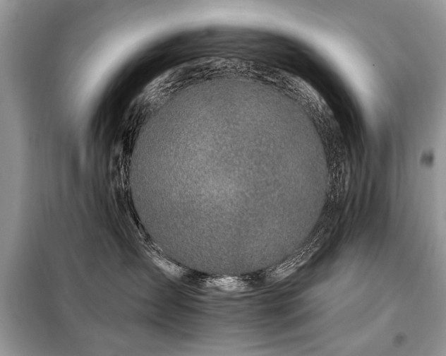 X0000099420431200805091247