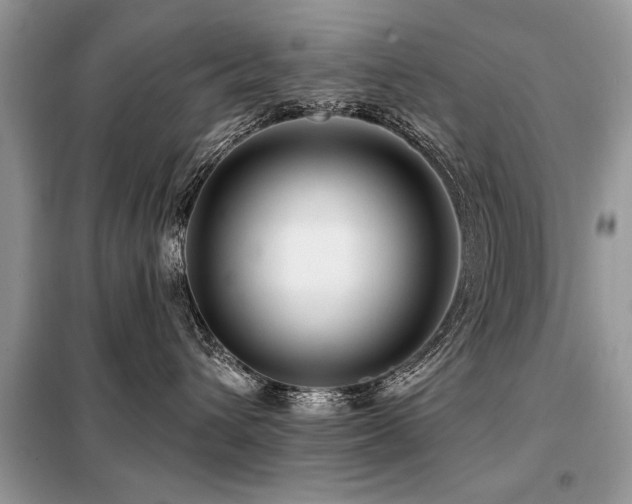 X0000099420432200805091247