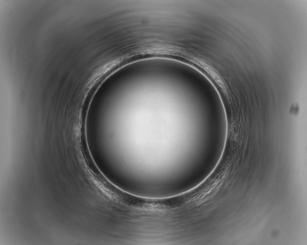 X0000099420437200805091246