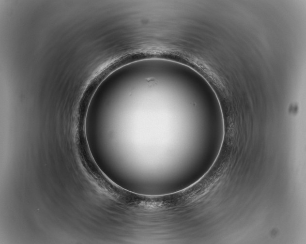 X0000099420440200805091246