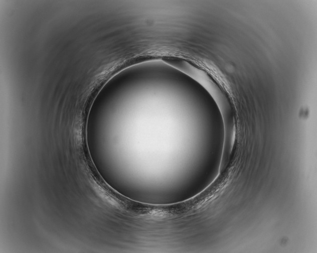 X0000099420441200805091246