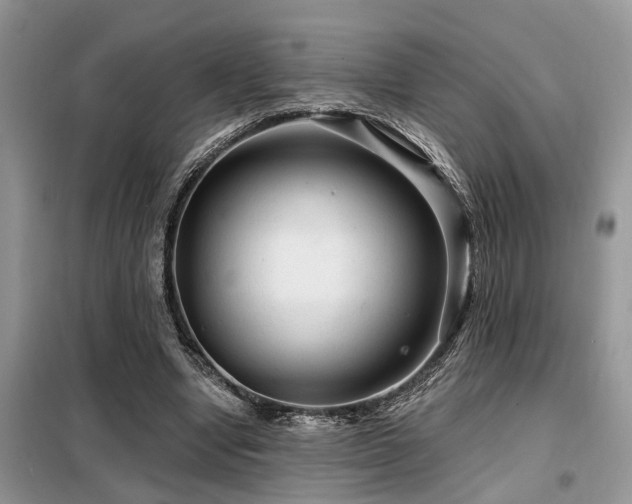 X0000099420442200805091246