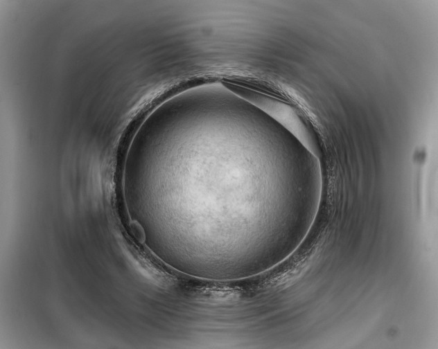 X0000099420443200805091246