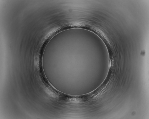 X0000099420444200805091247