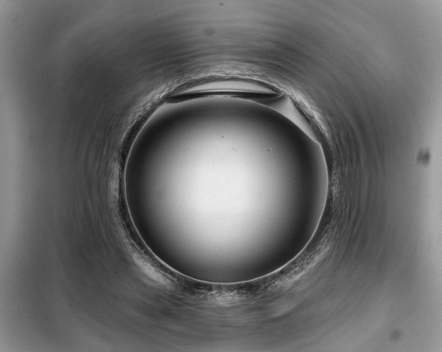 X0000099420445200805091247