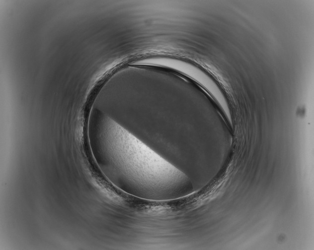 X0000099420446200805091247