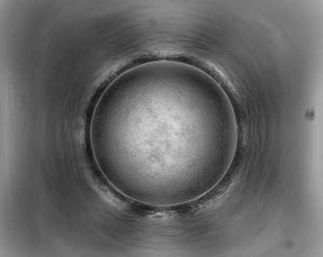 X0000099420447200805091247