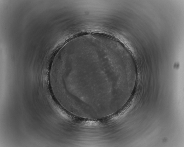 X0000099420449200805091247
