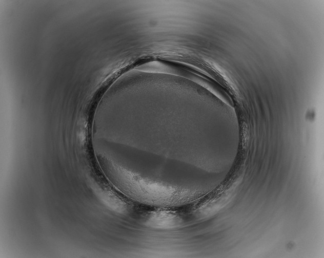 X0000099420451200805091247