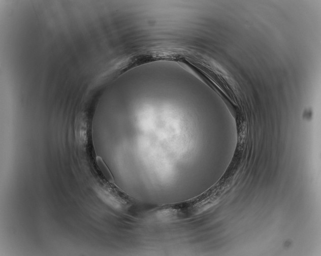 X0000099420452200805091247