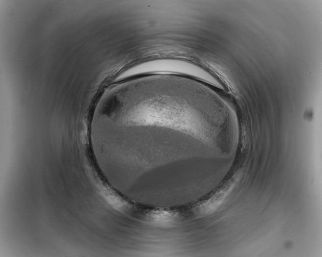 X0000099420453200805091247