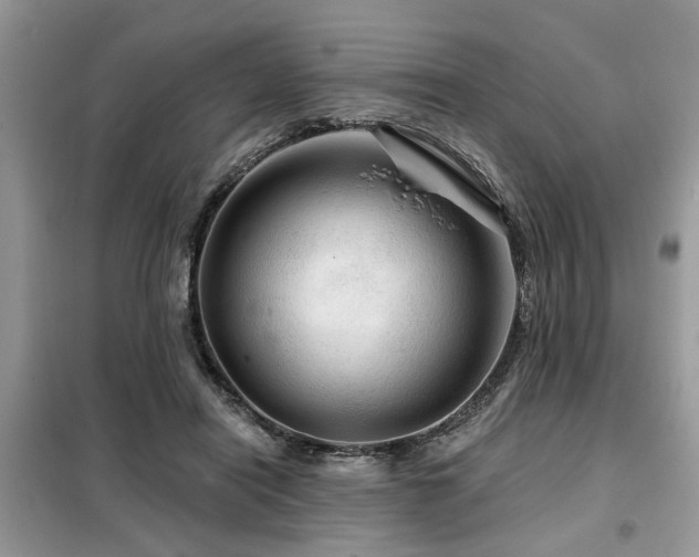 X0000099420454200805091247