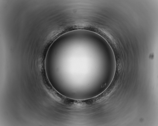 X0000099420455200805091247