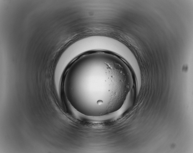 X0000099420456200805091247