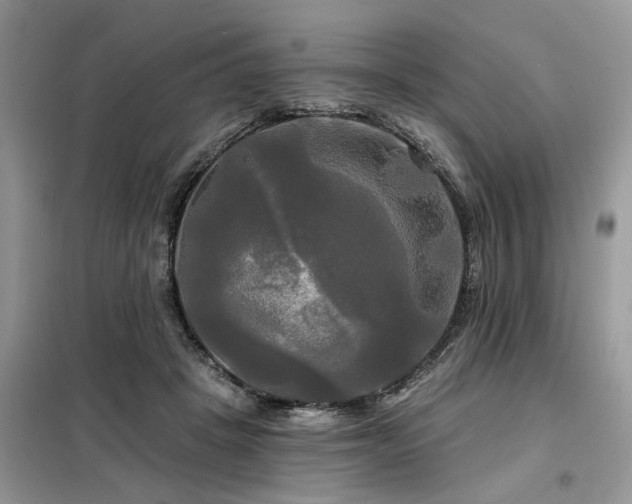 X0000099420457200805091247