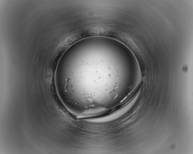 X0000099420458200805091247