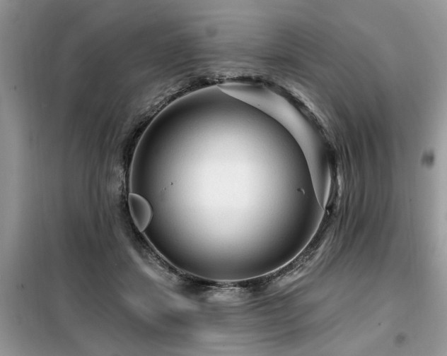X0000099420459200805091247