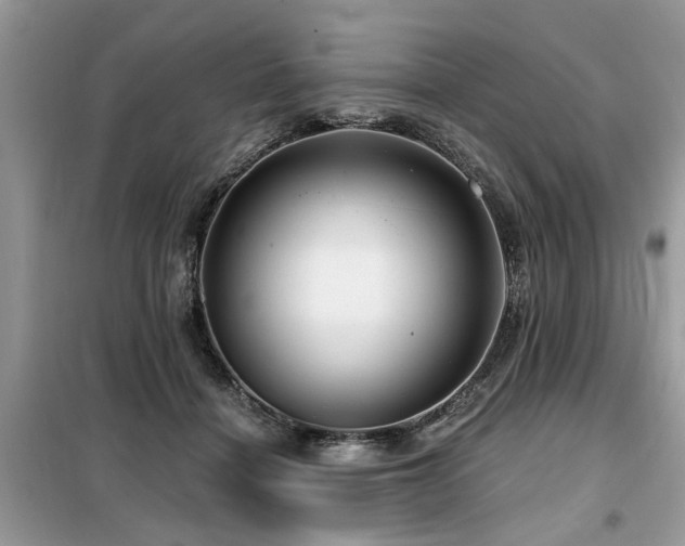X0000099420460200805091247
