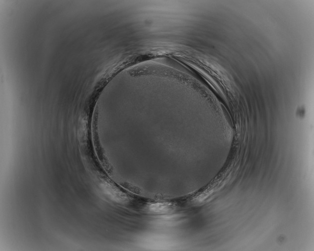 X0000099420461200805091247